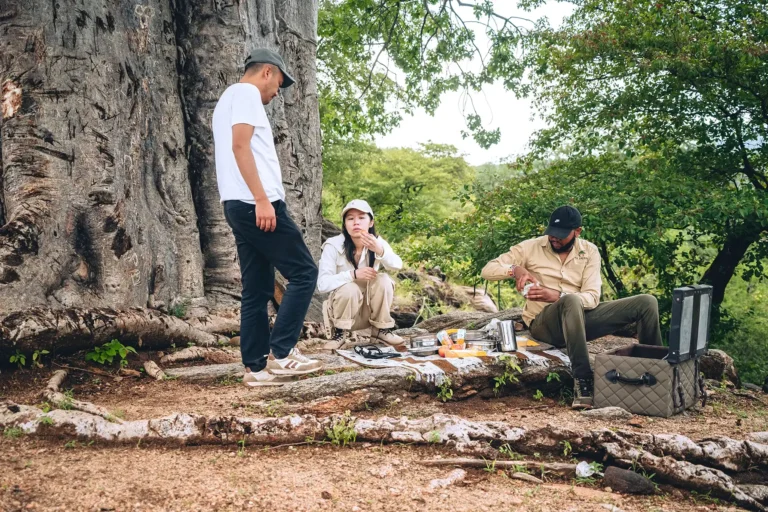 Experience an Unforgettable Budget Tanzania Safari with PAG Safaris